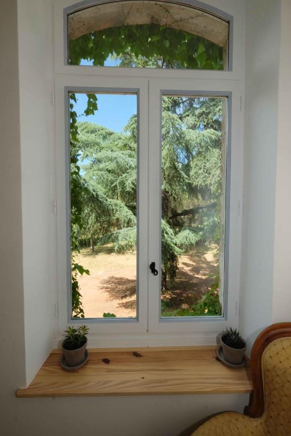 Villa Des Antiquaires Bedarieux Ngoại thất bức ảnh