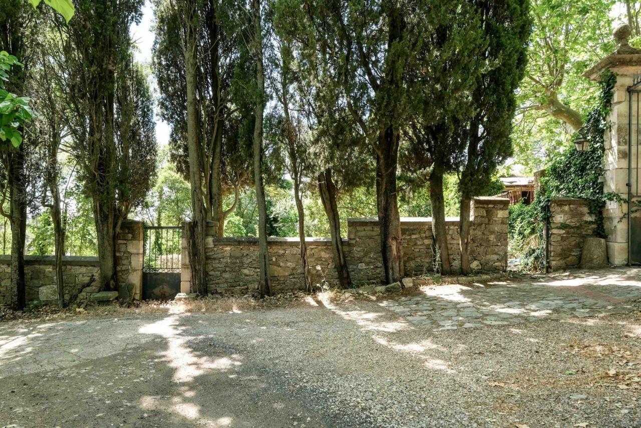 Villa Des Antiquaires Bedarieux Ngoại thất bức ảnh